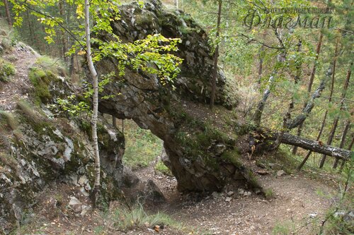 IMG_2701_r